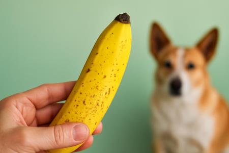 Wenn die Banane dunkel wird: Was die reifen Punkte auf der Schale wirklich für Ihre Gesundheit bedeuten